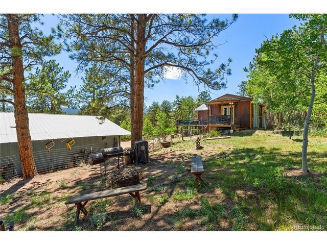 256 Houston St, Bailey, CO 80421