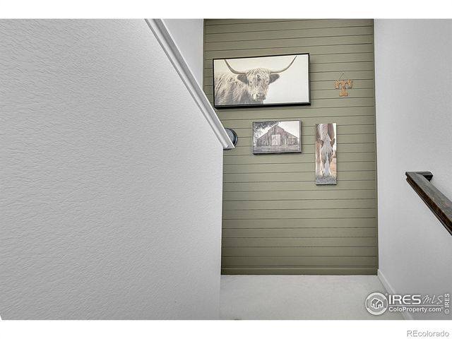 731 176th Avenue, Broomfield, CO 80023