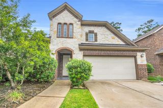 22519 Birch Ridge Meadow Drive, Spring, TX 77389