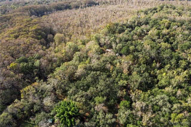 8156 S Kimberly Circle, Floral City, FL 34436