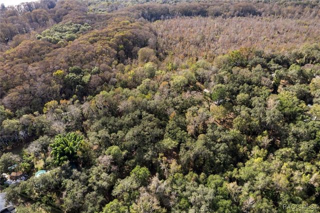 8156 S Kimberly Circle, Floral City, FL 34436