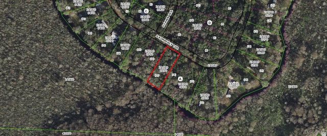 8156 S Kimberly Circle, Floral City, FL 34436