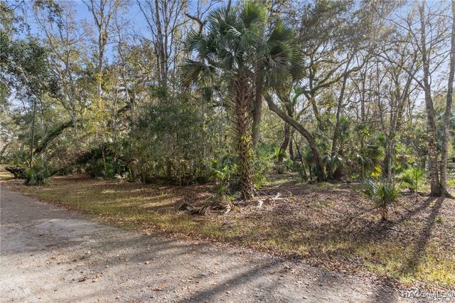 8156 S Kimberly Circle, Floral City, FL 34436