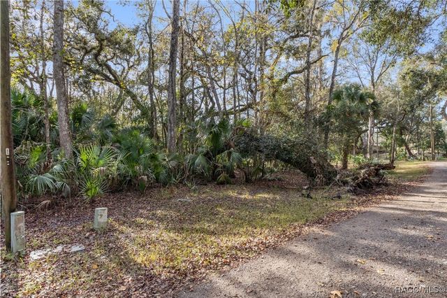 8156 S Kimberly Circle, Floral City, FL 34436