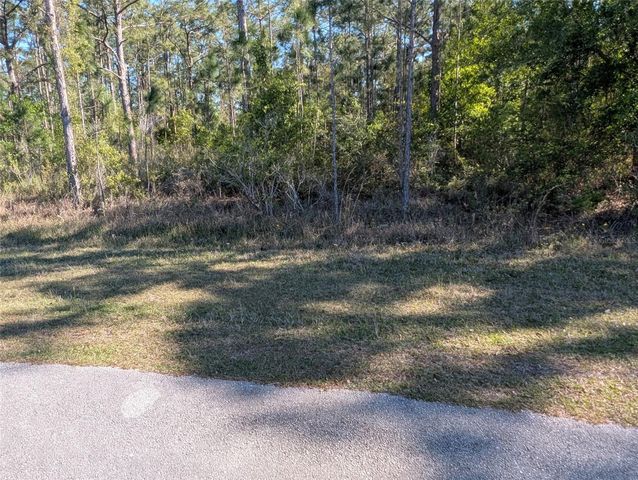 20 AVOCADO DRIVE, Indian Lake Estates, FL 33855