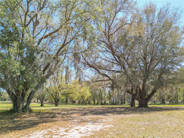 295 LOCUST PASS, Ocala, FL 34472