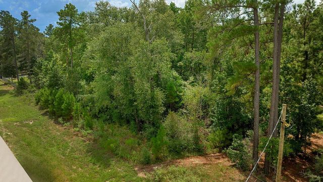 TBD Sky Oak Lane, Huntsville, TX 77340