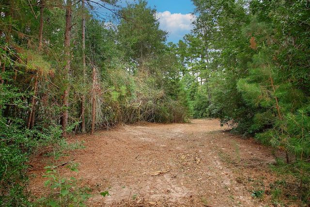 TBD Sky Oak Lane, Huntsville, TX 77340