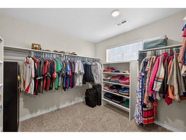 2656 Leafdale Cir, Castle Rock, CO 80109