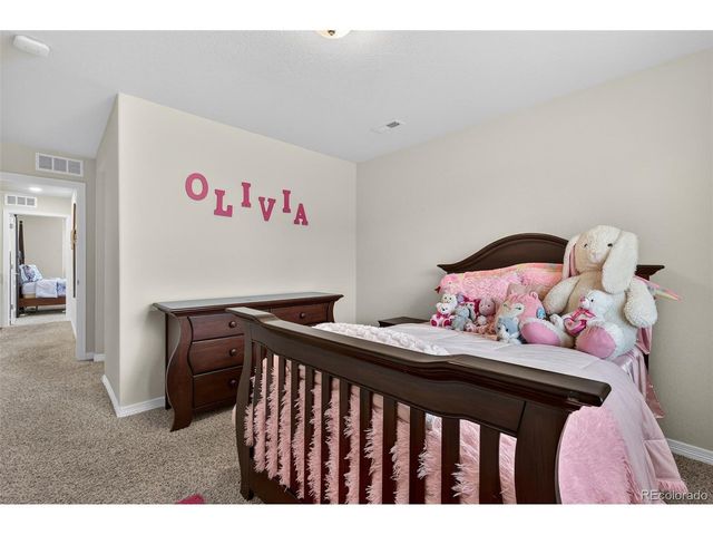 2656 Leafdale Cir, Castle Rock, CO 80109