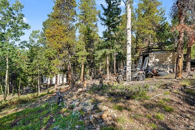 11233 Conifer Mountain Road, Conifer, CO 80433