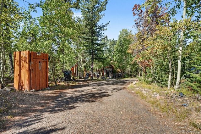 11233 Conifer Mountain Road, Conifer, CO 80433