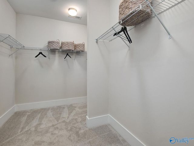 101 Berry Blossom Drive, Toney, AL 35773