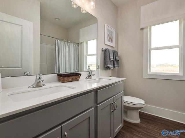 101 Berry Blossom Drive, Toney, AL 35773