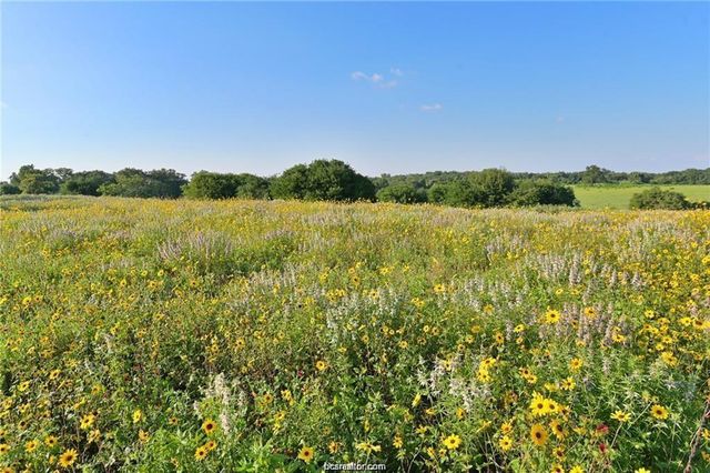 9776 Calhoun Road, Bryan, TX 77808