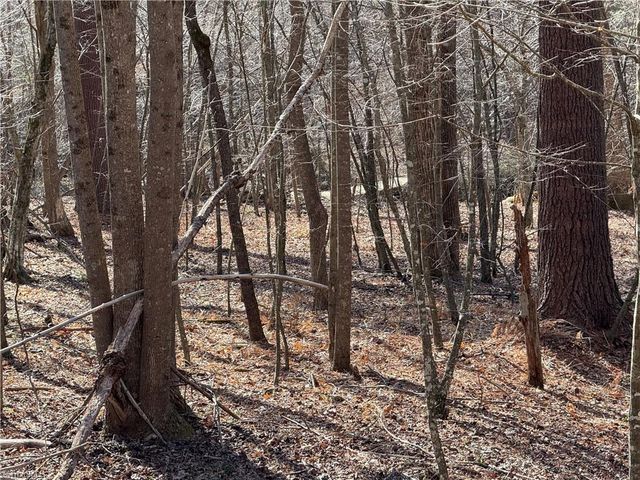 Lots 20 & 21 Zinzendorf Lane, Moravian Falls, NC 28654