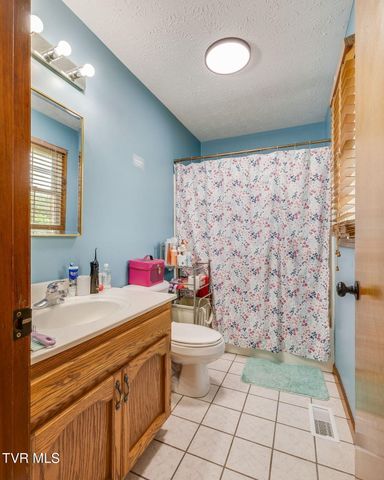 219 Collins Street, Church Hill, TN 37642