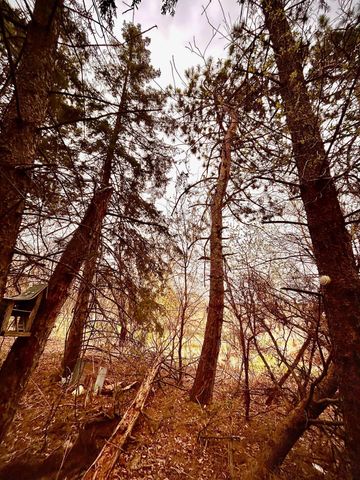 3519 County Road 5 NE, Isanti, MN 55040