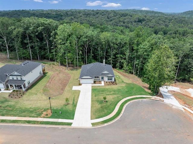 3320 Trevi Trail, Douglasville, GA 30135