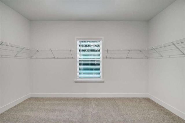 3320 Trevi Trail, Douglasville, GA 30135