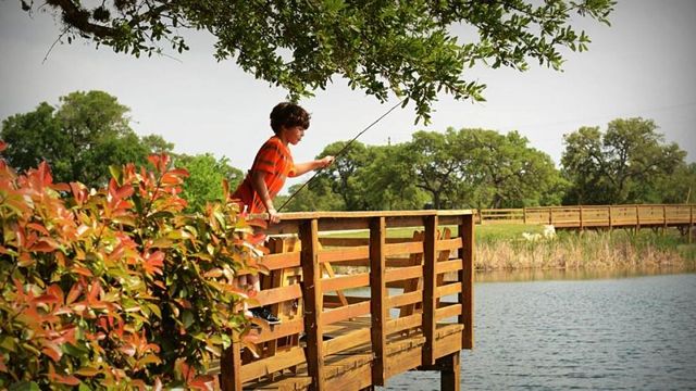 128 Hiram Cook, Blanco, TX 78606