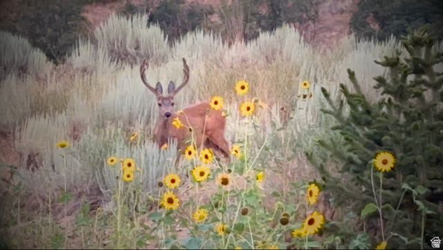 2042 S VALLEY DR, Mapleton, UT 84664