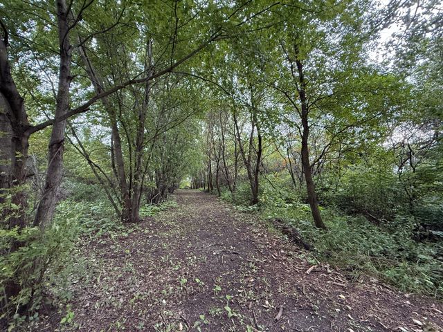 37261 280th Street, Westbrook, MN 56183