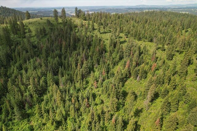 NNA E Bill Gulch Rd, Mead, WA 99021