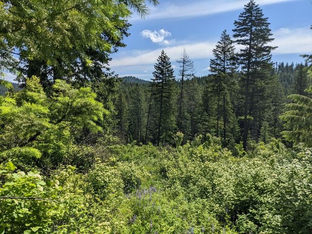 NNA E Bill Gulch Rd, Mead, WA 99021