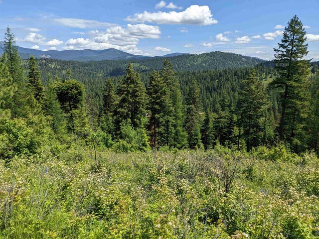 NNA E Bill Gulch Rd, Mead, WA 99021