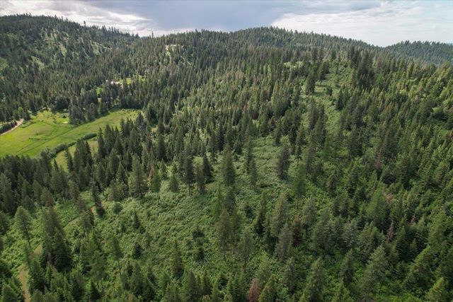 NNA E Bill Gulch Rd, Mead, WA 99021