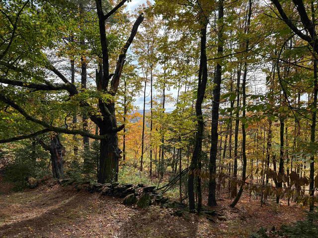 173 Dereks Way, Lyndon, VT 05851