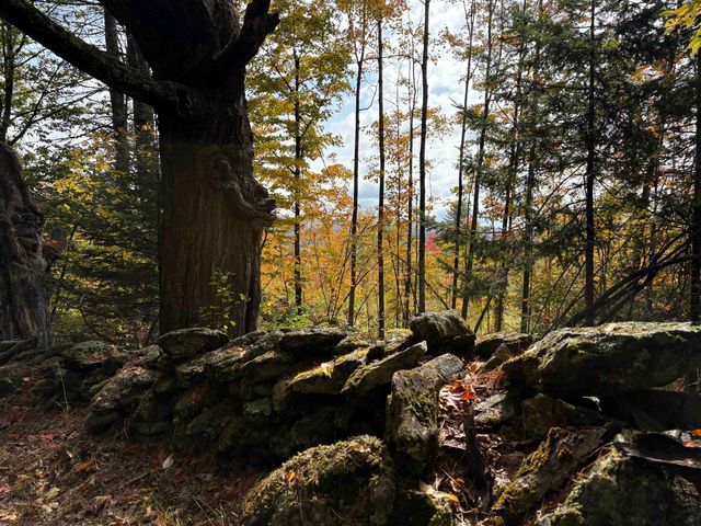 173 Dereks Way, Lyndon, VT 05851