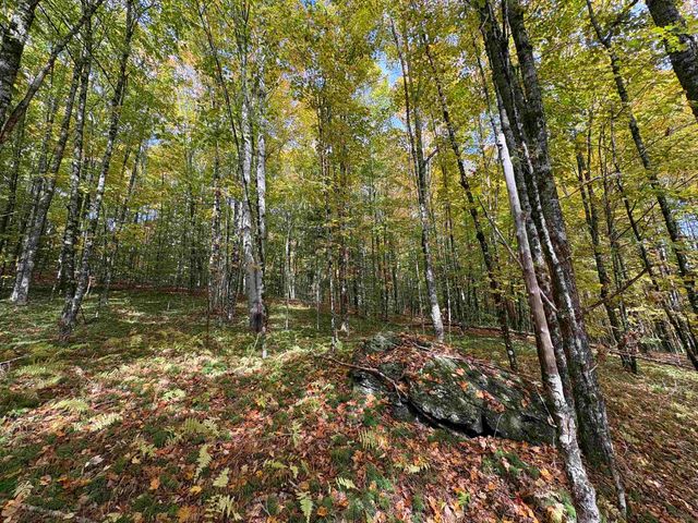 173 Dereks Way, Lyndon, VT 05851