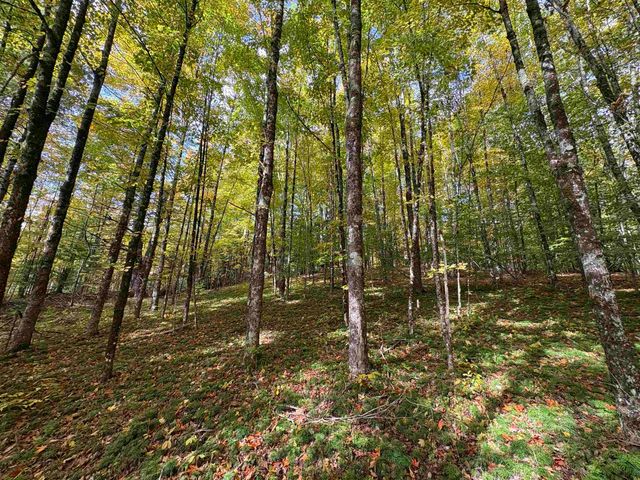 173 Dereks Way, Lyndon, VT 05851