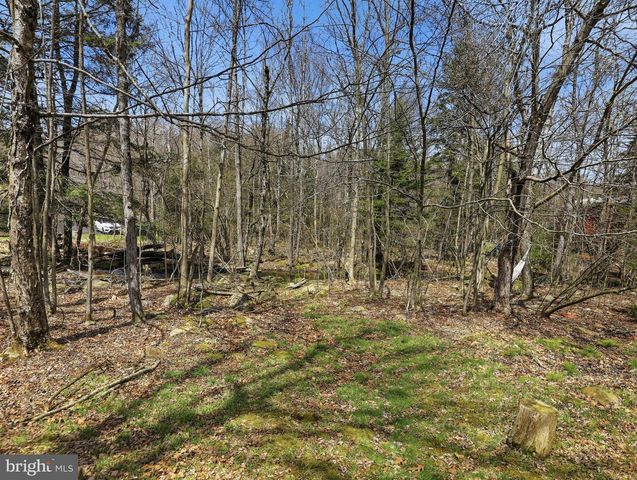 61 FLORAL DR, Gouldsboro, PA 18424