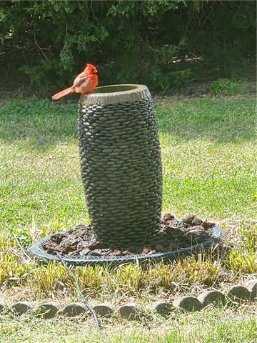 13535 Bill Sellers Road, Fayetteville, AR 72704