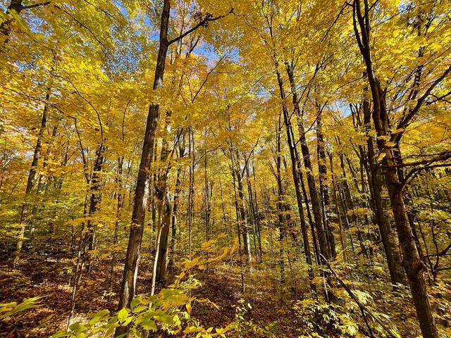 3037 Dockery Road, Nw, Williamsburg, MI 49690