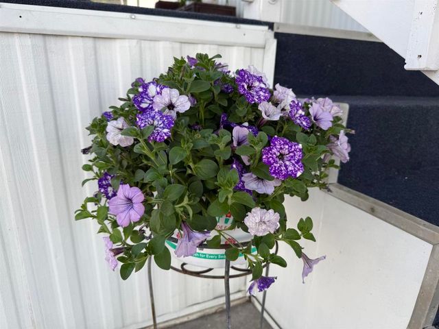 200 N El Camino Real 149, Oceanside, CA 92058