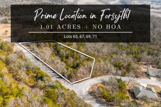 Lots 65, 67, 69, 71 Swan Valley Drive, Forsyth, MO 65653