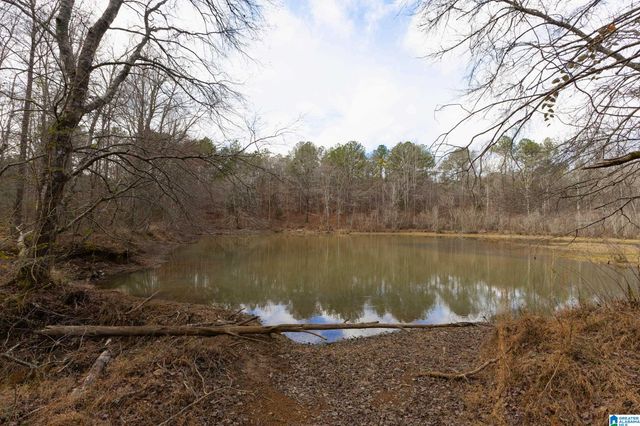 1000-1068 CAMP WINNATASKA ROAD, Pell City, AL 35128