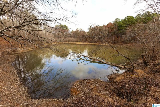 1000-1068 CAMP WINNATASKA ROAD, Pell City, AL 35128