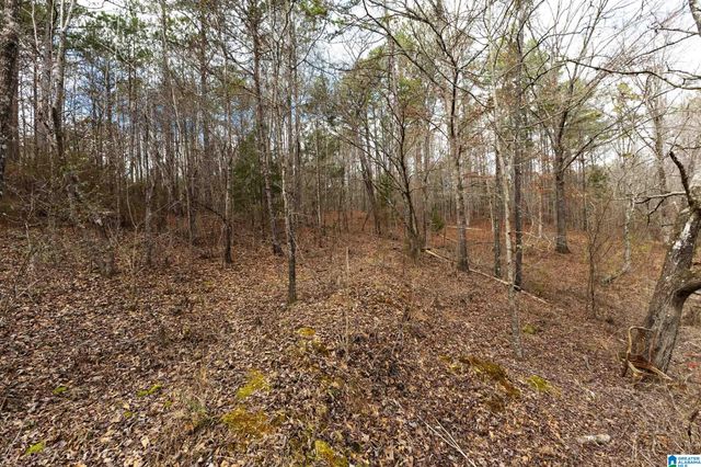 1000-1068 CAMP WINNATASKA ROAD, Pell City, AL 35128