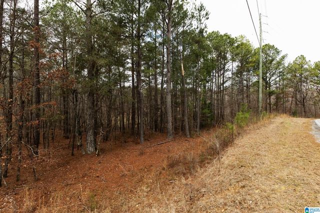 1000-1068 CAMP WINNATASKA ROAD, Pell City, AL 35128