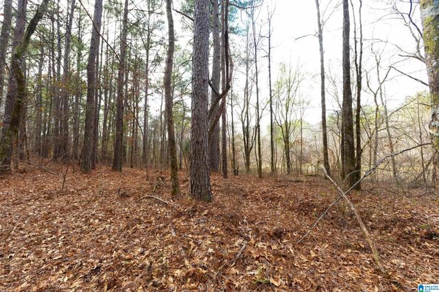 1000-1068 CAMP WINNATASKA ROAD, Pell City, AL 35128