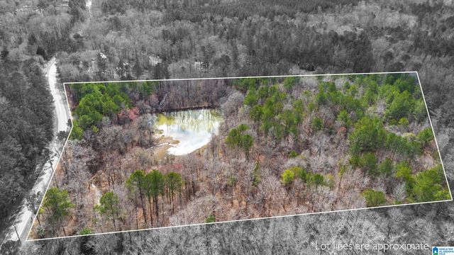 1000-1068 CAMP WINNATASKA ROAD, Pell City, AL 35128