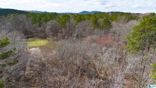 1000-1068 CAMP WINNATASKA ROAD, Pell City, AL 35128