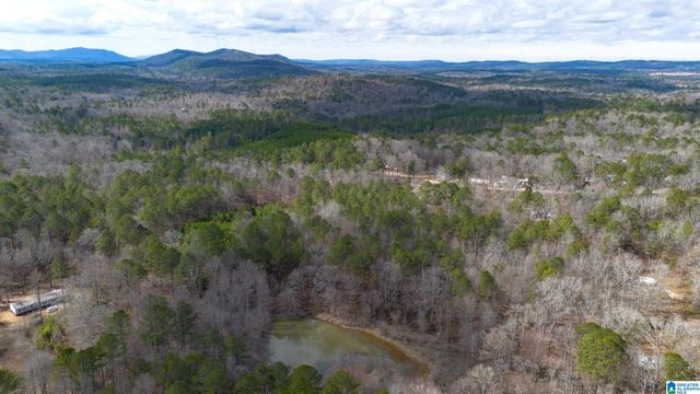 1000-1068 CAMP WINNATASKA ROAD, Pell City, AL 35128