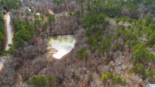 1000-1068 CAMP WINNATASKA ROAD, Pell City, AL 35128