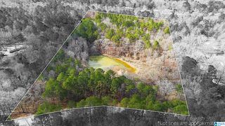 1000-1068 CAMP WINNATASKA ROAD, Pell City, AL 35128